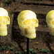 Image for article titled Everything You Need For the Best Trick-Or-Treating House In the Neighborhood